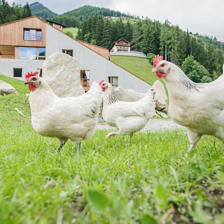 Koasa-Hof Ganzes Ferienhaus Und Sauna 5 Zimmer 240Mq Cadipietra Ngoại thất bức ảnh